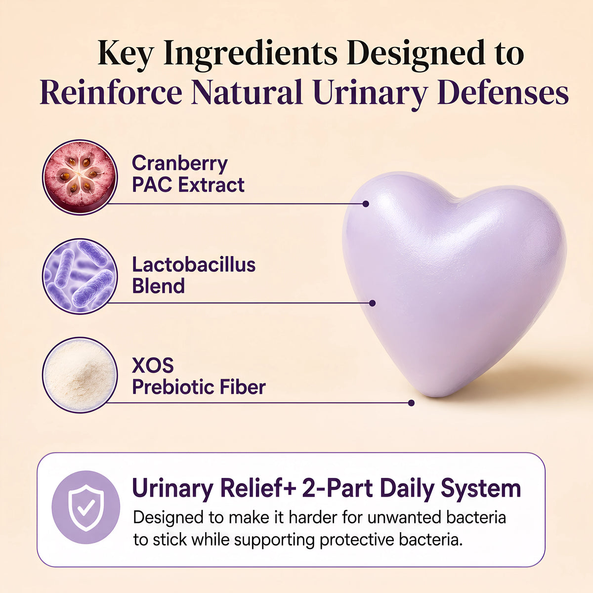 Canro Labs Urinary Relief+